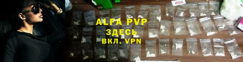 Alfa_PVP СК  Кирс 